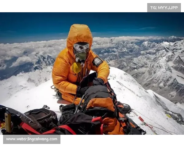 井上拓真转战WBC空缺头衔,寻求二次登顶世界冠军 井上拓真转战WBC空缺头衔,寻求二次登顶世界冠军