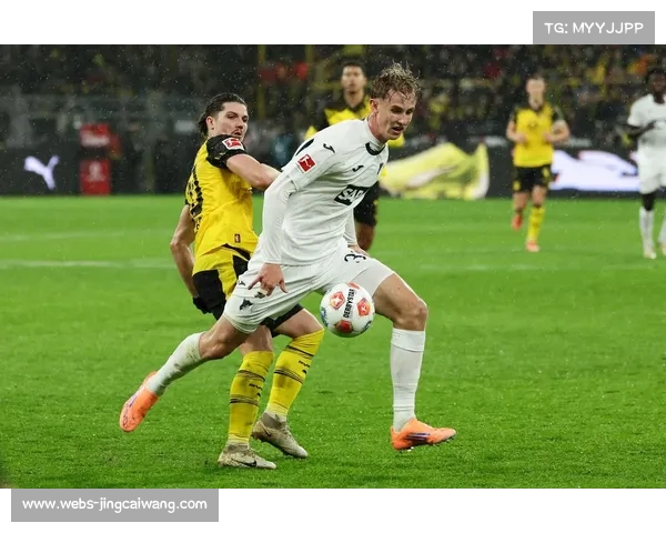 德甲法制事件更新：多特蒙德球迷案件处理结果